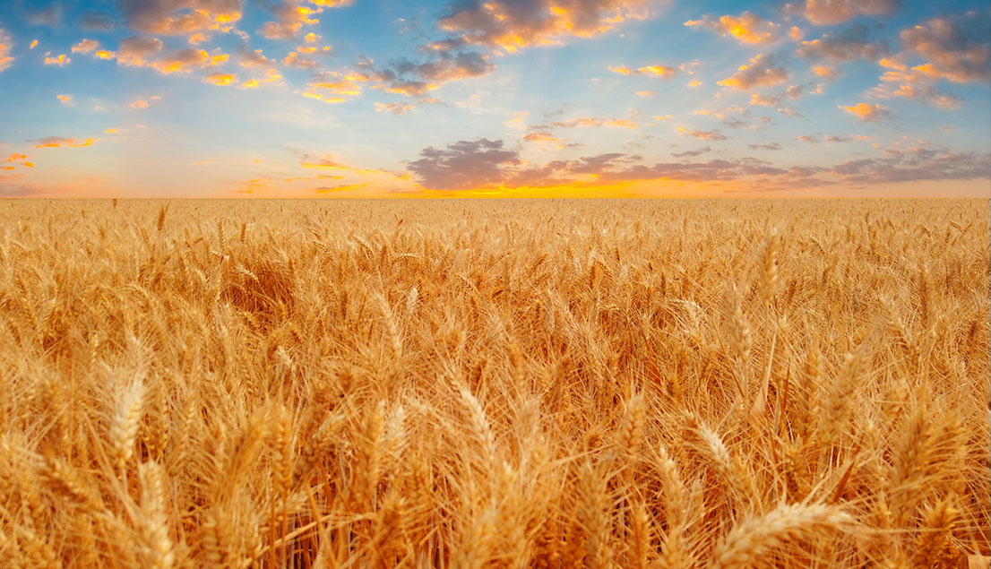 立即博·(中国)有限公司官网